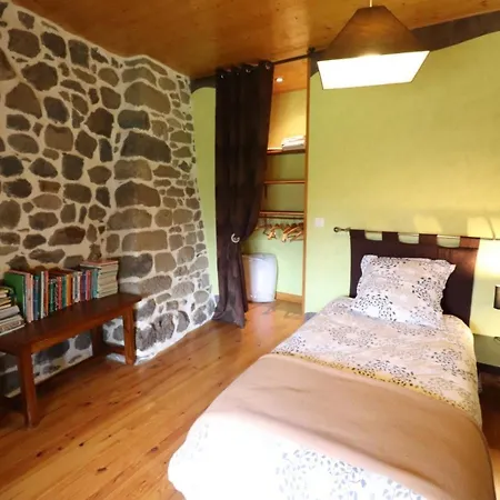 Maison Cosy 3 Chambres, Wifi, Cheminee, Parc 2700m², Proche Puy Mary - Fr-1-742-183 * Saint-Hippolyte (Cantal)