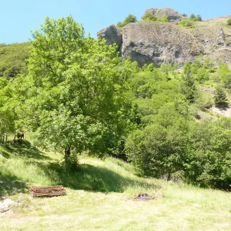 펜션 Maison Cosy 3 Chambres, Wifi, Cheminee, Parc 2700m², Proche Puy Mary - Fr-1-742-183 *