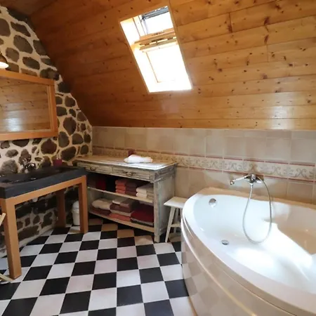 펜션 Maison Cosy 3 Chambres, Wifi, Cheminee, Parc 2700m², Proche Puy Mary - Fr-1-742-183 *